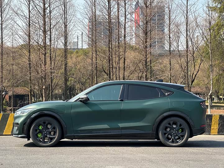 Фото 4 - Ford Mustang Mach-E