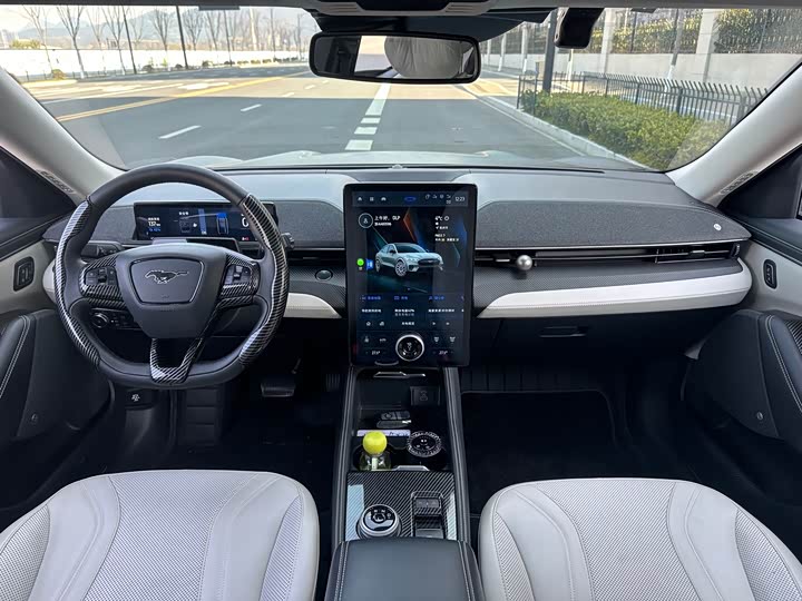 Фото 6 - Ford Mustang Mach-E