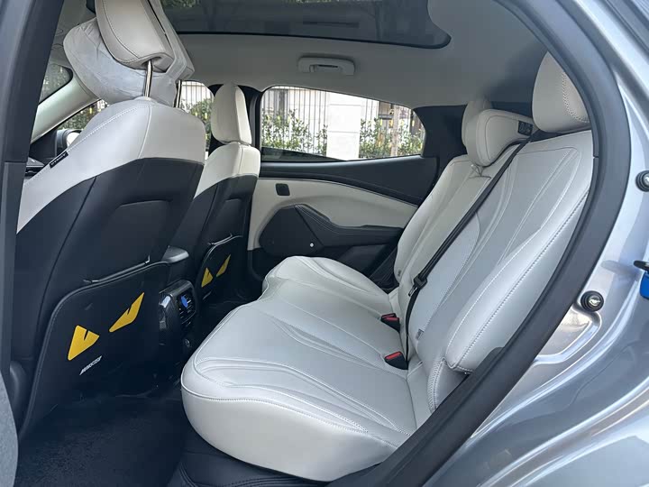 Фото 8 - Ford Mustang Mach-E