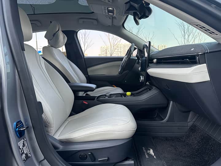 Фото 9 - Ford Mustang Mach-E