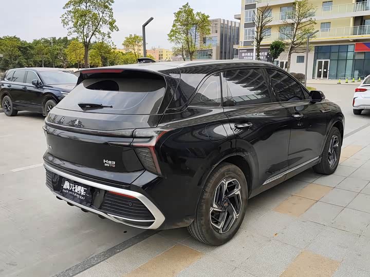 Фото 9 - Hongqi HS3