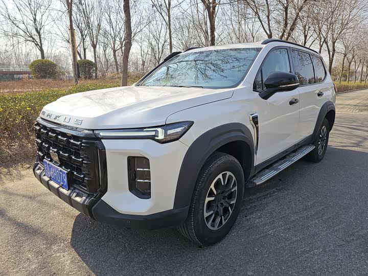 Фото 1 - Maxus Territory