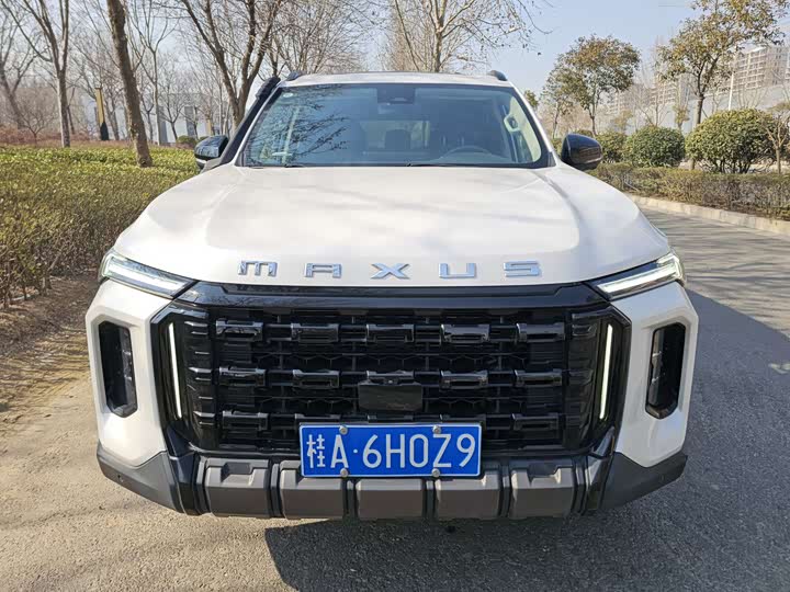 Фото 2 - Maxus Territory