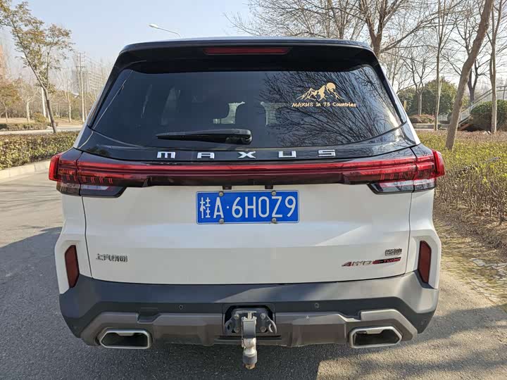 Фото 5 - Maxus Territory