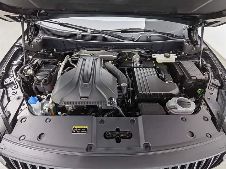 Фото 6 - Hongqi HS7 Hybrid