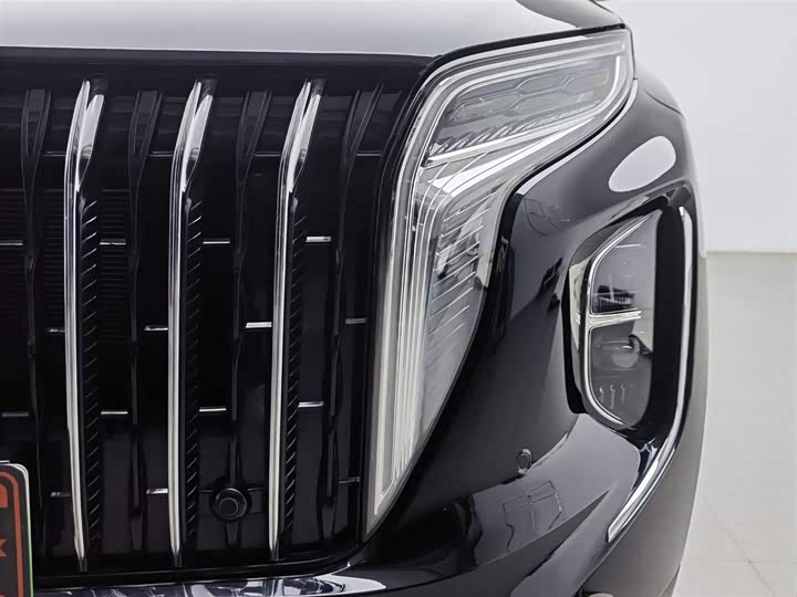 Фото 7 - Hongqi HS7 Hybrid