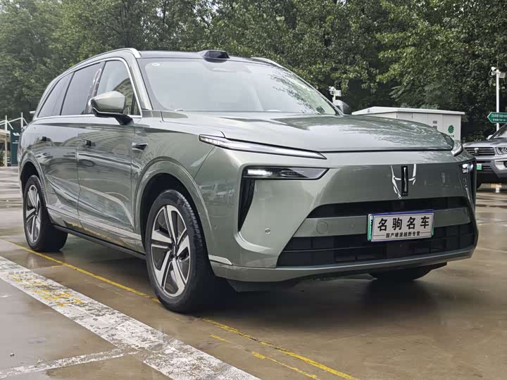 Фото 5 - Wey Lanshan