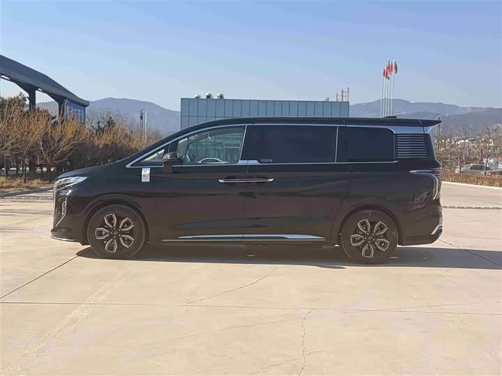 Фото 4 - Hongqi HQ9