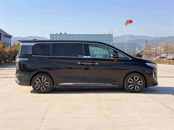 Фото 8 - Hongqi HQ9