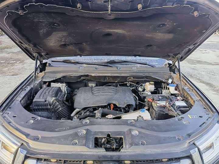 Фото 9 - Great Wall Pao