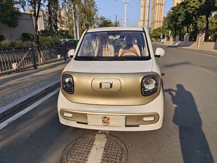 Фото 2 - Bestune Pony