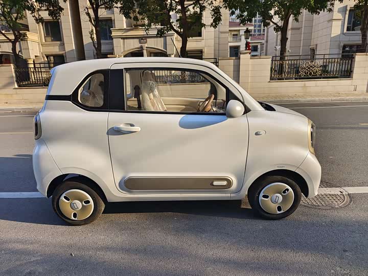 Фото 4 - Bestune Pony