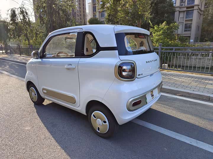 Фото 5 - Bestune Pony