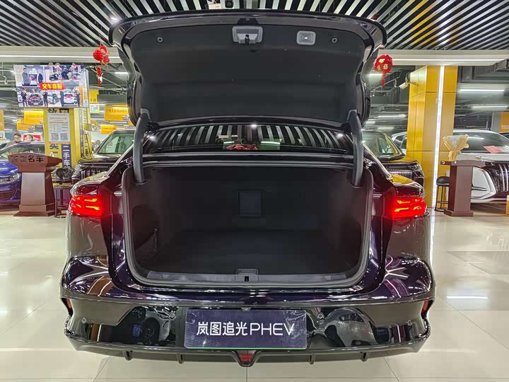 Фото 7 - Voyah Passion