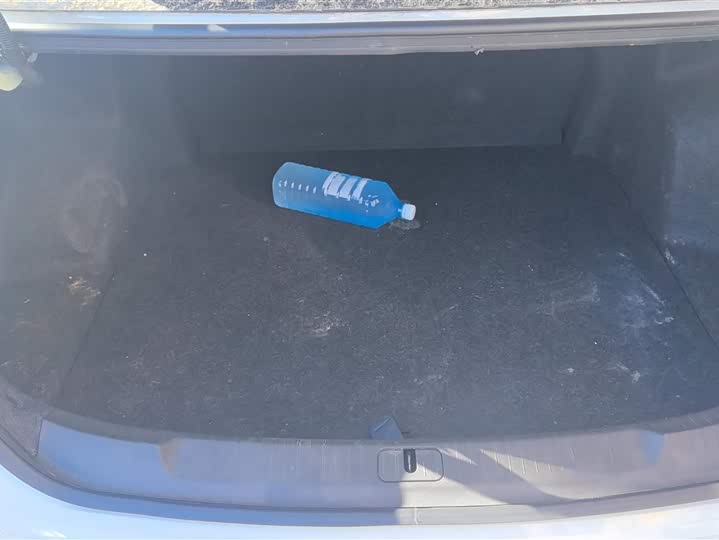 Фото 4 - Chevrolet Monza