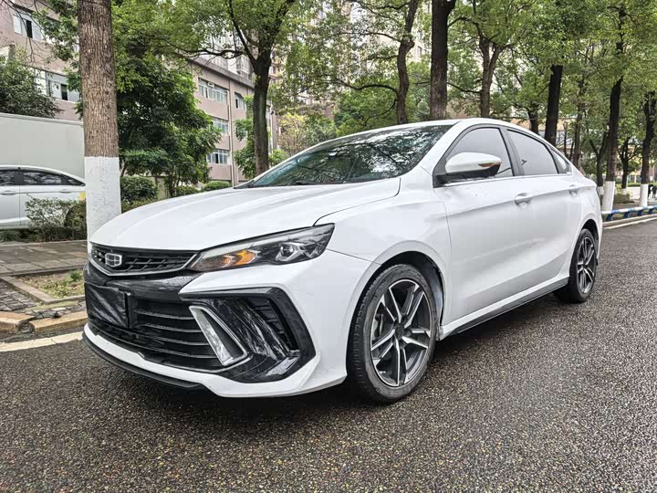 Фото 1 - Geely Binrui