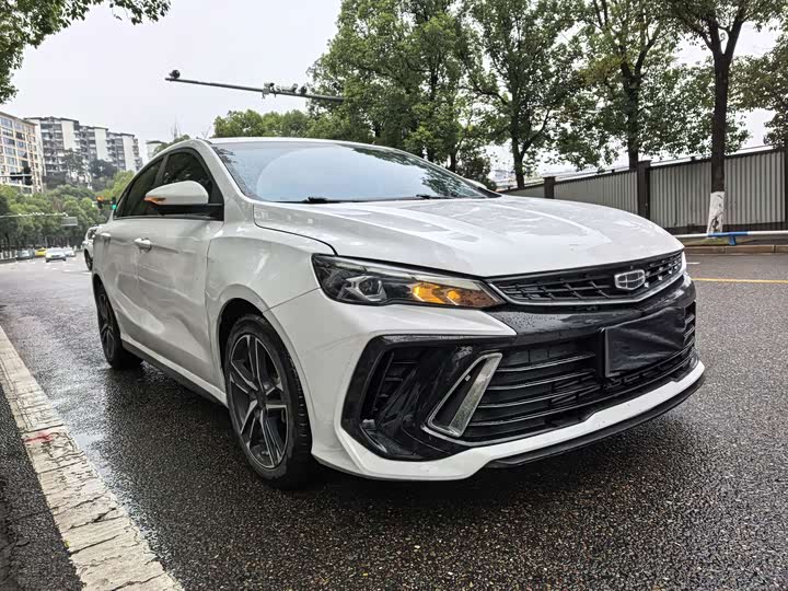 Фото 3 - Geely Binrui