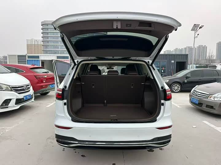 Фото 8 - Volkswagen Viloran