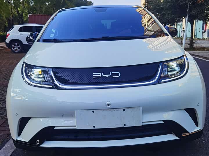 Фото 1 - BYD Dolphin