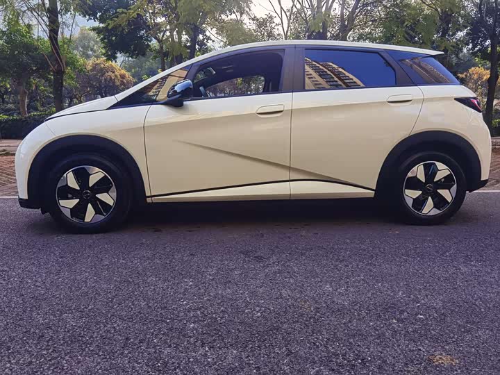 Фото 3 - BYD Dolphin