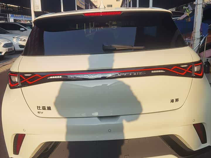 Фото 4 - BYD Dolphin