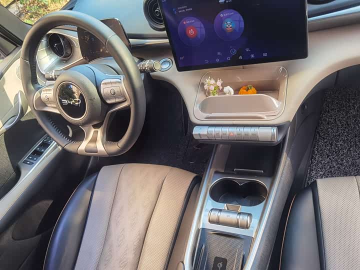 Фото 7 - BYD Dolphin