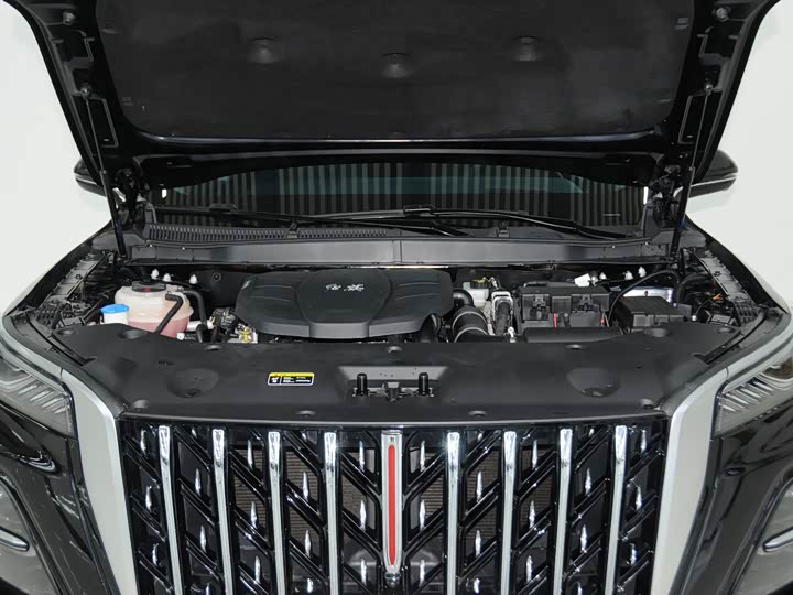 Photo 6 - Hongqi HS5