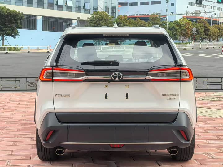 Фото 9 - Toyota Wildlander