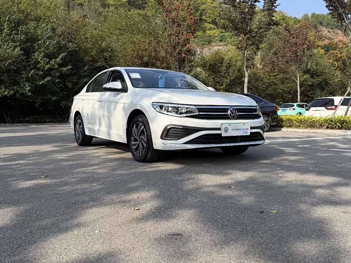 Фото 2 - Volkswagen Bora
