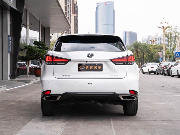 Фото 5 - Lexus RX