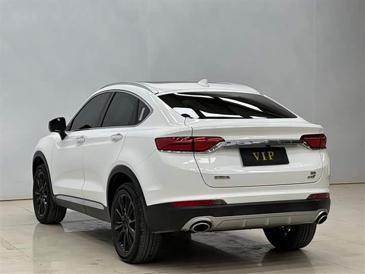 Фото 3 - Geely Tugella