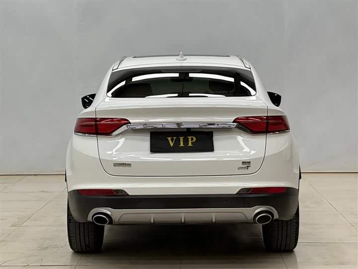 Фото 4 - Geely Tugella