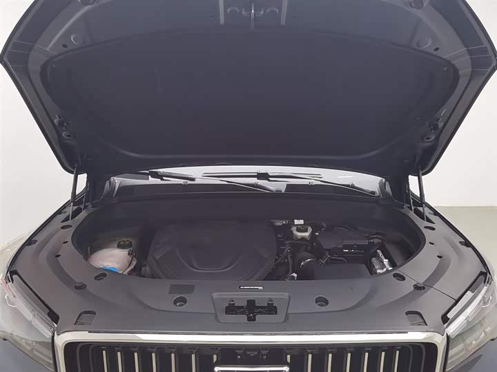 Фото 6 - Geely Monjaro