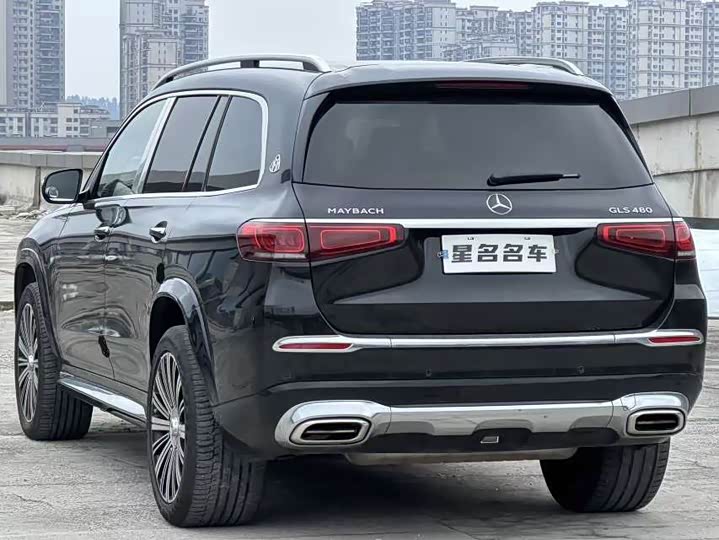 Фото 7 - Mercedes-Benz Maybach GLS