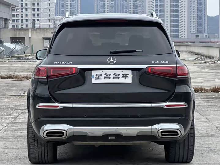 Фото 8 - Mercedes-Benz Maybach GLS