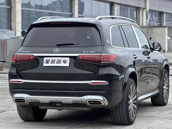 Фото 9 - Mercedes-Benz Maybach GLS