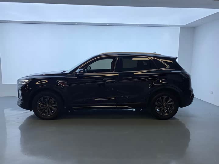 Фото 4 - Hongqi HS5