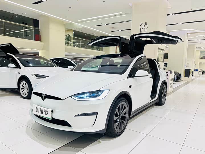 Фото 1 - Tesla Model X