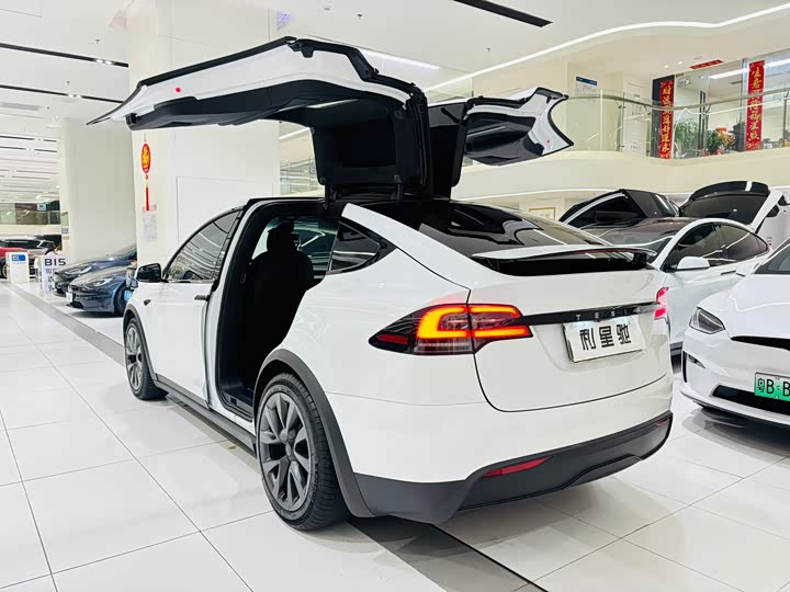 Фото 4 - Tesla Model X