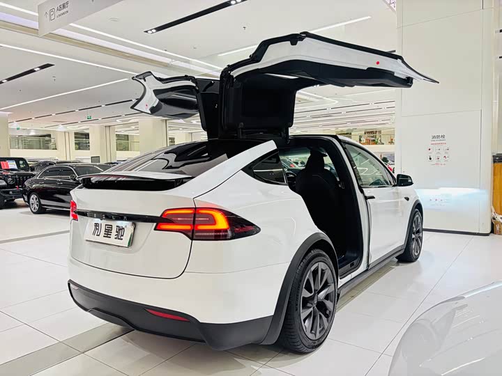 Фото 5 - Tesla Model X