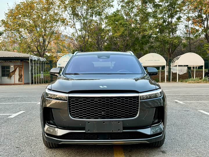 Фото 2 - LiXiang One