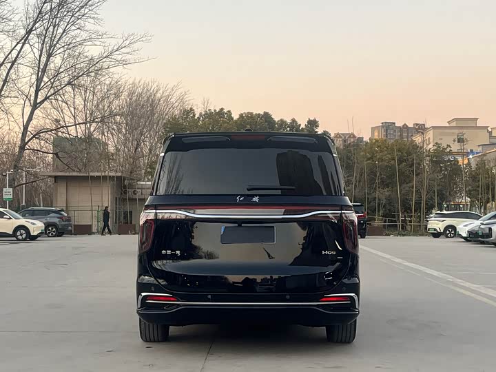 Фото 6 - Hongqi HQ9