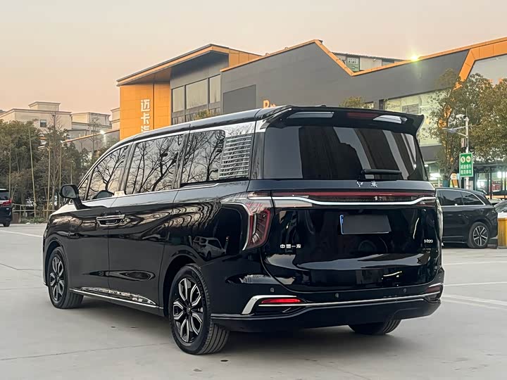 Фото 7 - Hongqi HQ9