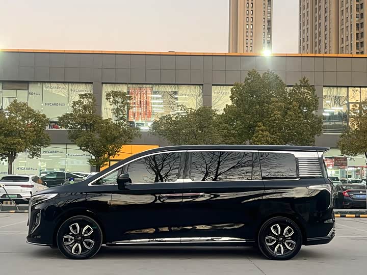 Фото 8 - Hongqi HQ9