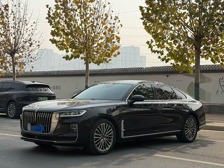 Фото 1 - Hongqi H9