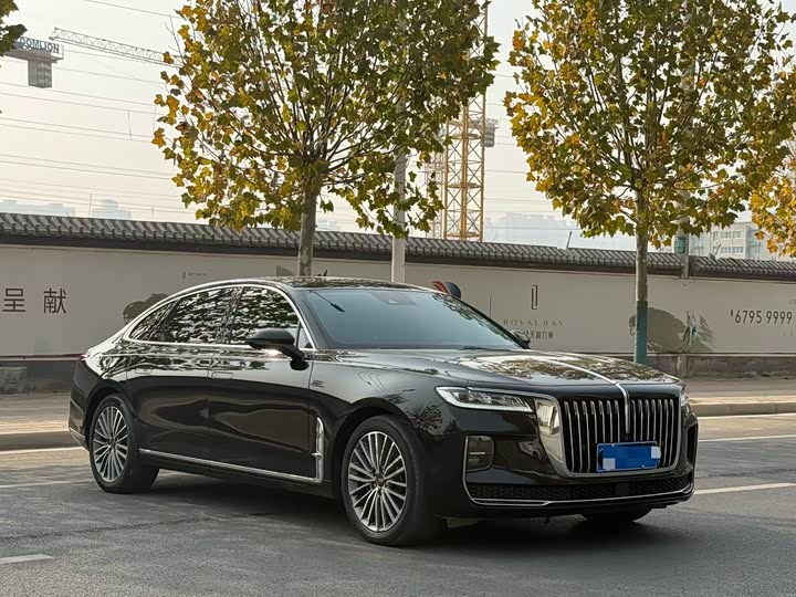 Фото 3 - Hongqi H9
