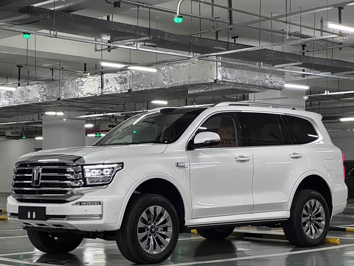 Фото 1 - Tank 500 Hybrid