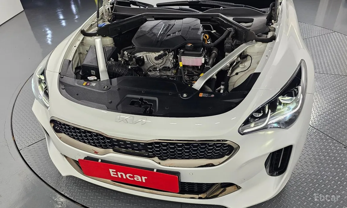 Фото 6 - Kia Stinger