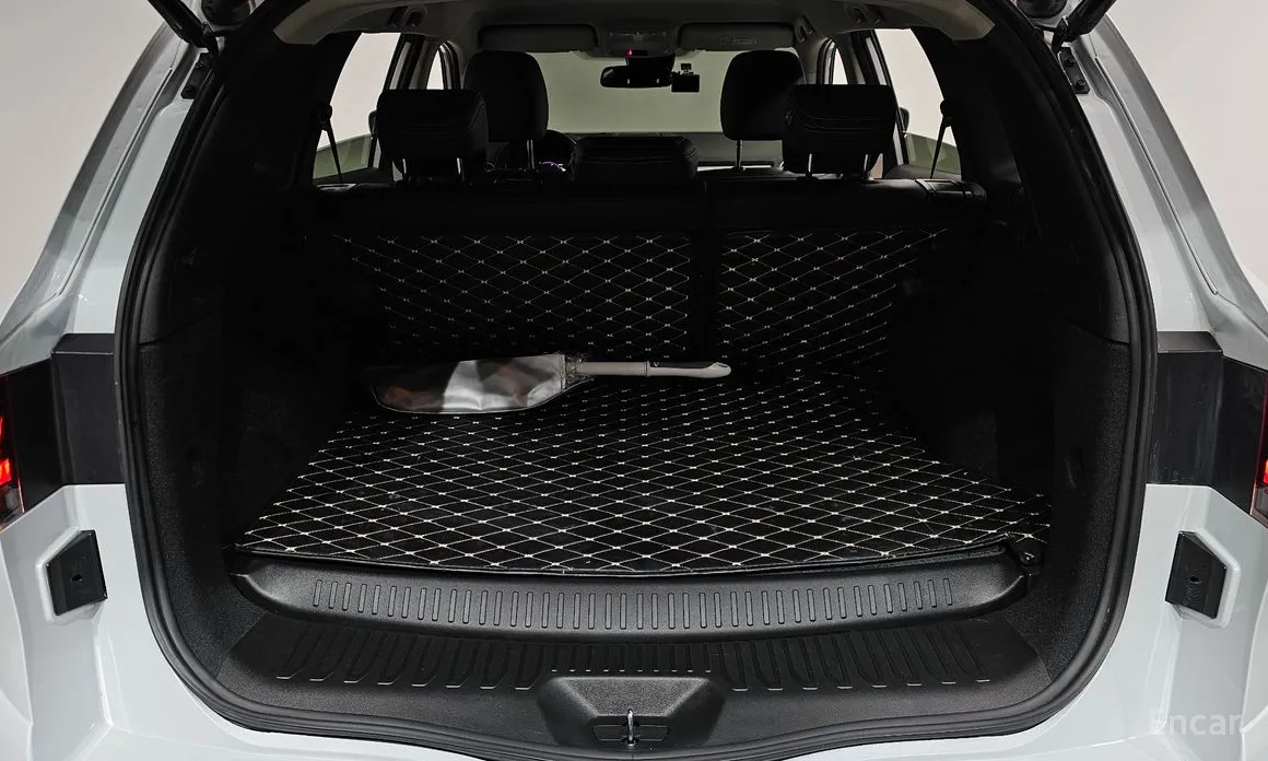 Фото 20 - Renault QM6