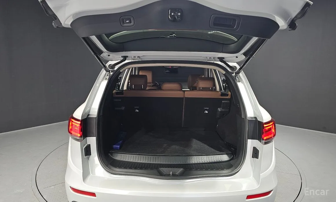 Фото 20 - Renault QM6